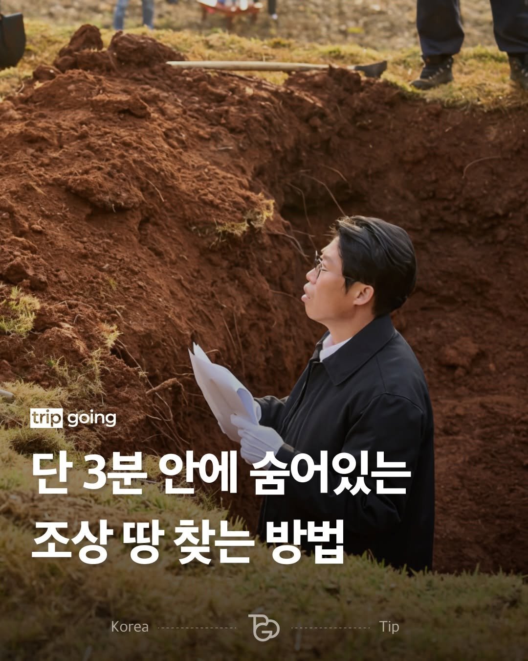 Photo by 트립고잉 tripgoing on February 19, 2026. May be an image of plant and text that says 'trip going 단 3분 안에 숨어있는 조상 땅 찾는 방법 KΝΕTp Tip Korea'.