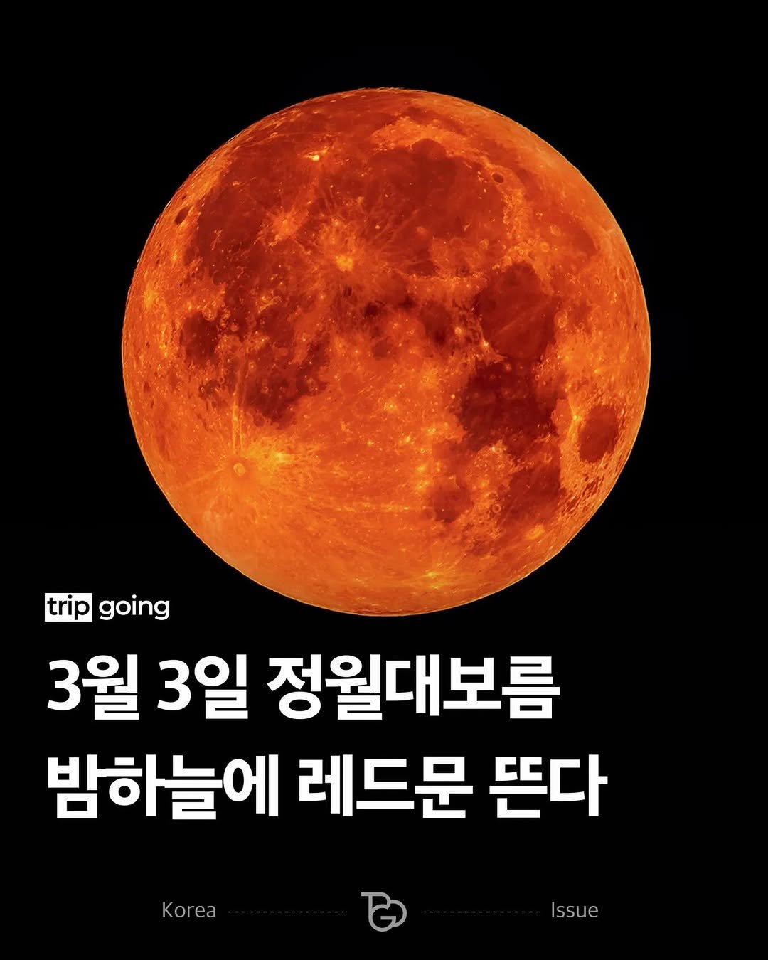 Photo by 트립고잉 tripgoing on February 19, 2026. May be an image of text that says 'trip going 3월 3일 정월대보름 밤하늘에 레드문 뜬다 Kor ........... Issue'.