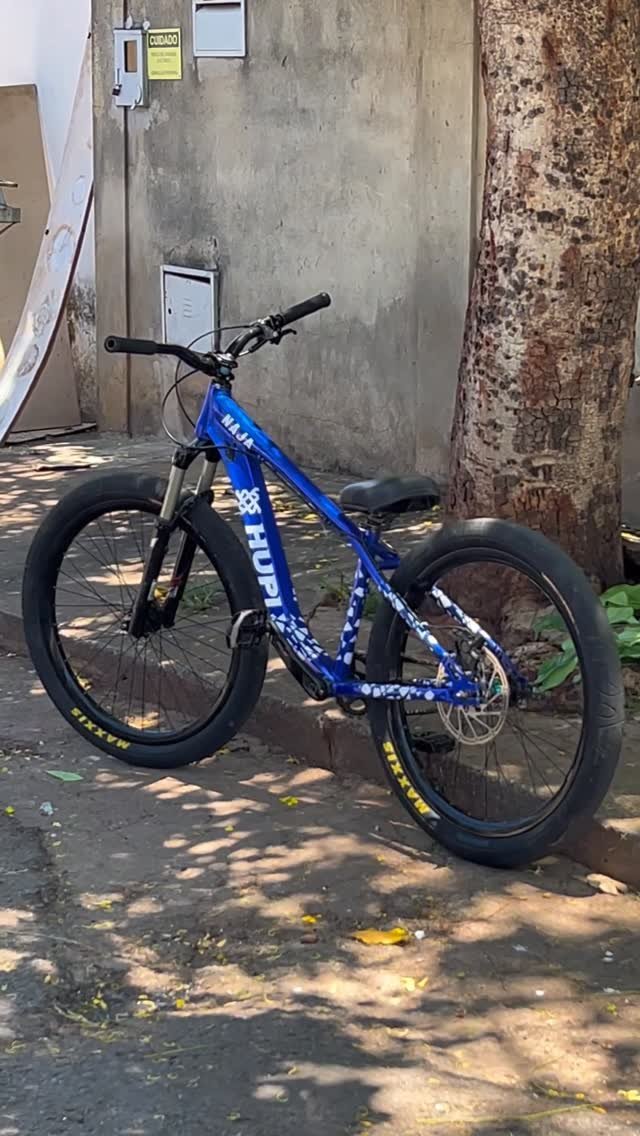 _willianwb 게시물 이미지: HUPI CHEFE 🐍