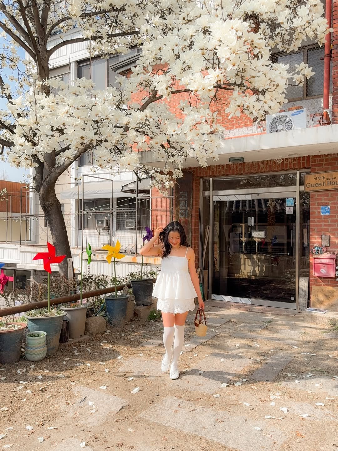 Photo by Helen Au on March 29, 2026. May be an image of stone-fruit tree, baby's-breath and text that says 'Guest.HoI Guest 모 時品 DI'.