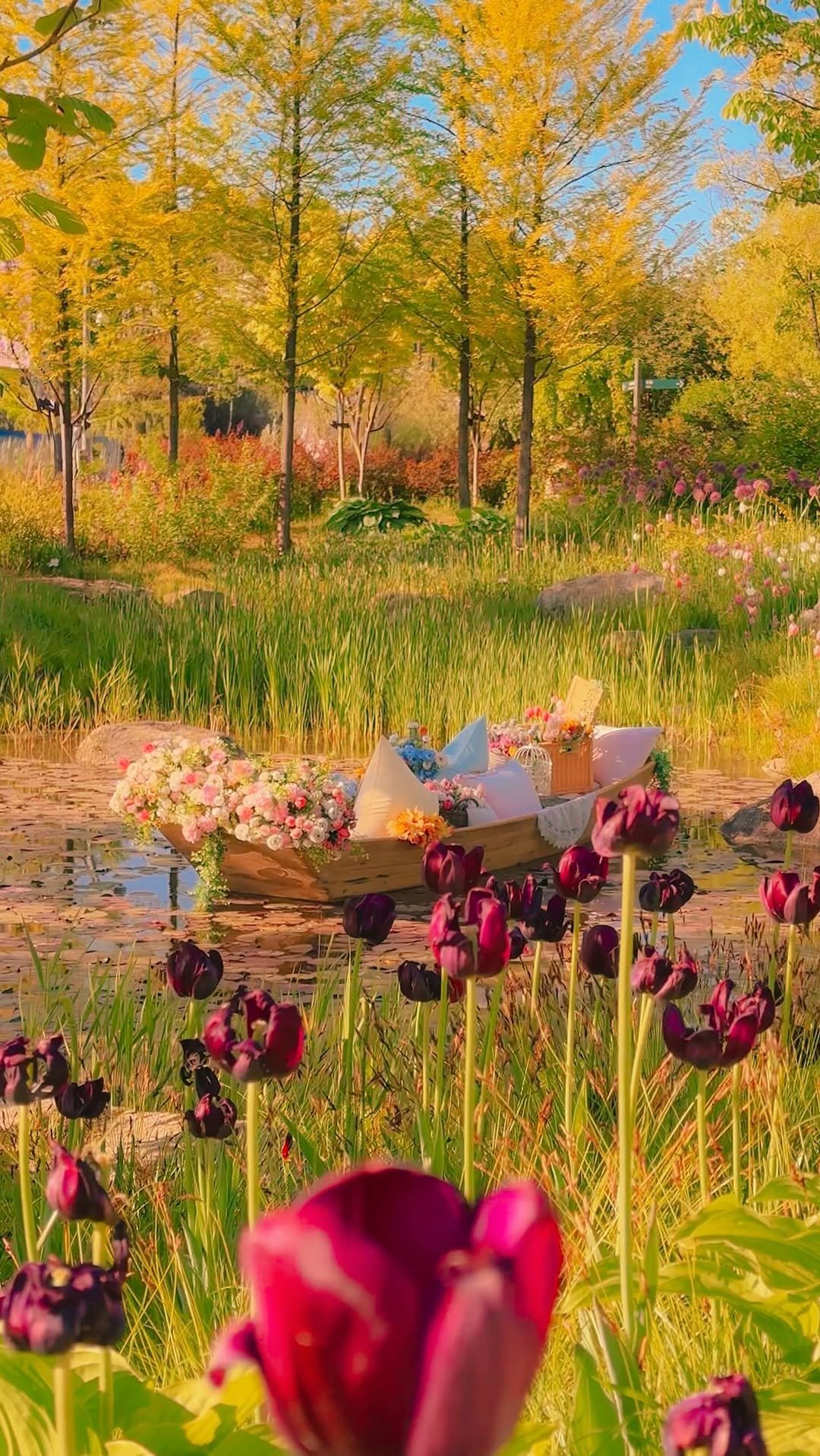 _withhelen 게시물 이미지: felt like i stepped into monet’s garden ✨