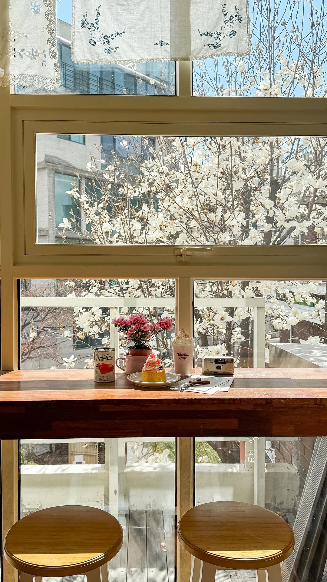 _withhelen 게시물 이미지: my favorite time of the year at this cafe 🌸