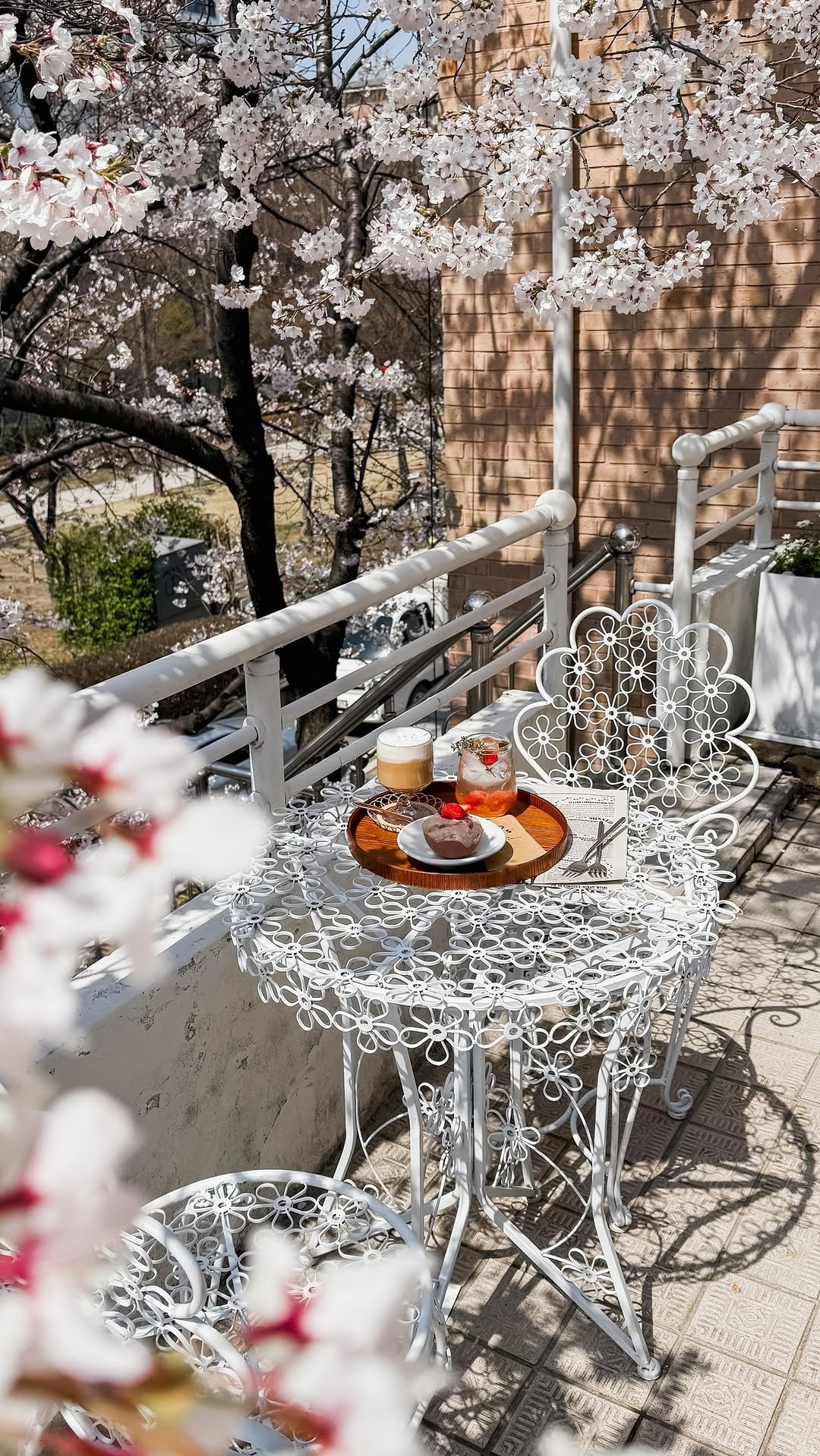 _withhelen 게시물 이미지: prettiest cherry blossom cafe in seoul...