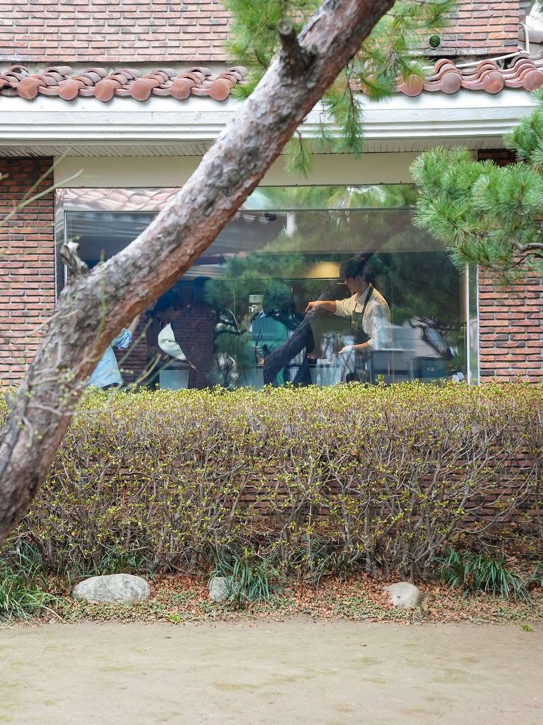 Photo by 한신희 in 선정릉역 with @dedietrich_korea_official. May be an image of text.