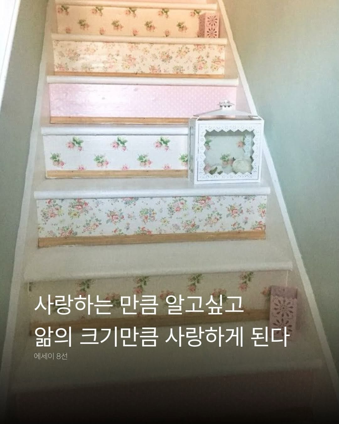 _xxpick 게시물 이미지: 오늘의 p!ck ✷

“사랑은 앎과 같다고 하지 않던가. 사랑하는 만큼 알고 싶고...