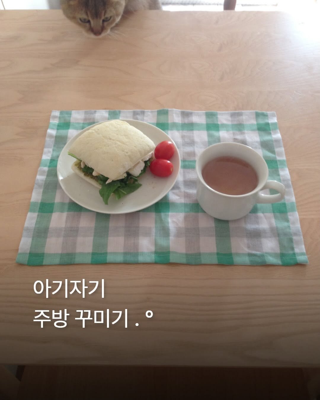 Photo by XXp!ck | 엑세스픽 on March 15, 2026. May be an image of sandwich, placemat, bread and text that says '아기자기 주방 꾸미기.°'.