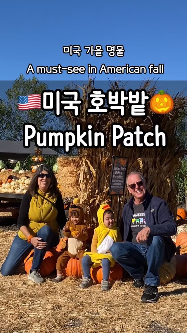 _yoonpumpkin 게시물 이미지: 미국 🎃호박 좀 이쁘다요ㅋㅋ #미국호박 #윤펌킨