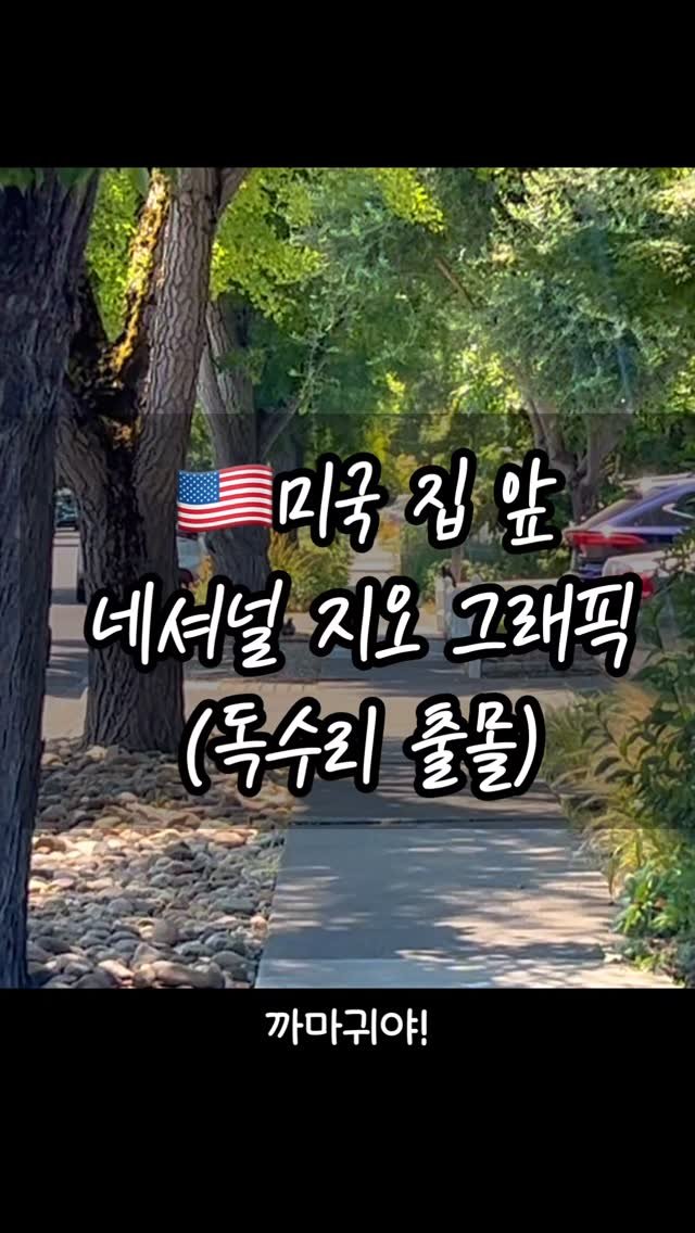 _yoonpumpkin 게시물 이미지: 🚨주의: 동물의 포식 장면이 포함되어 있습니다. 
시청자 주의 요망!.. 태오보다...