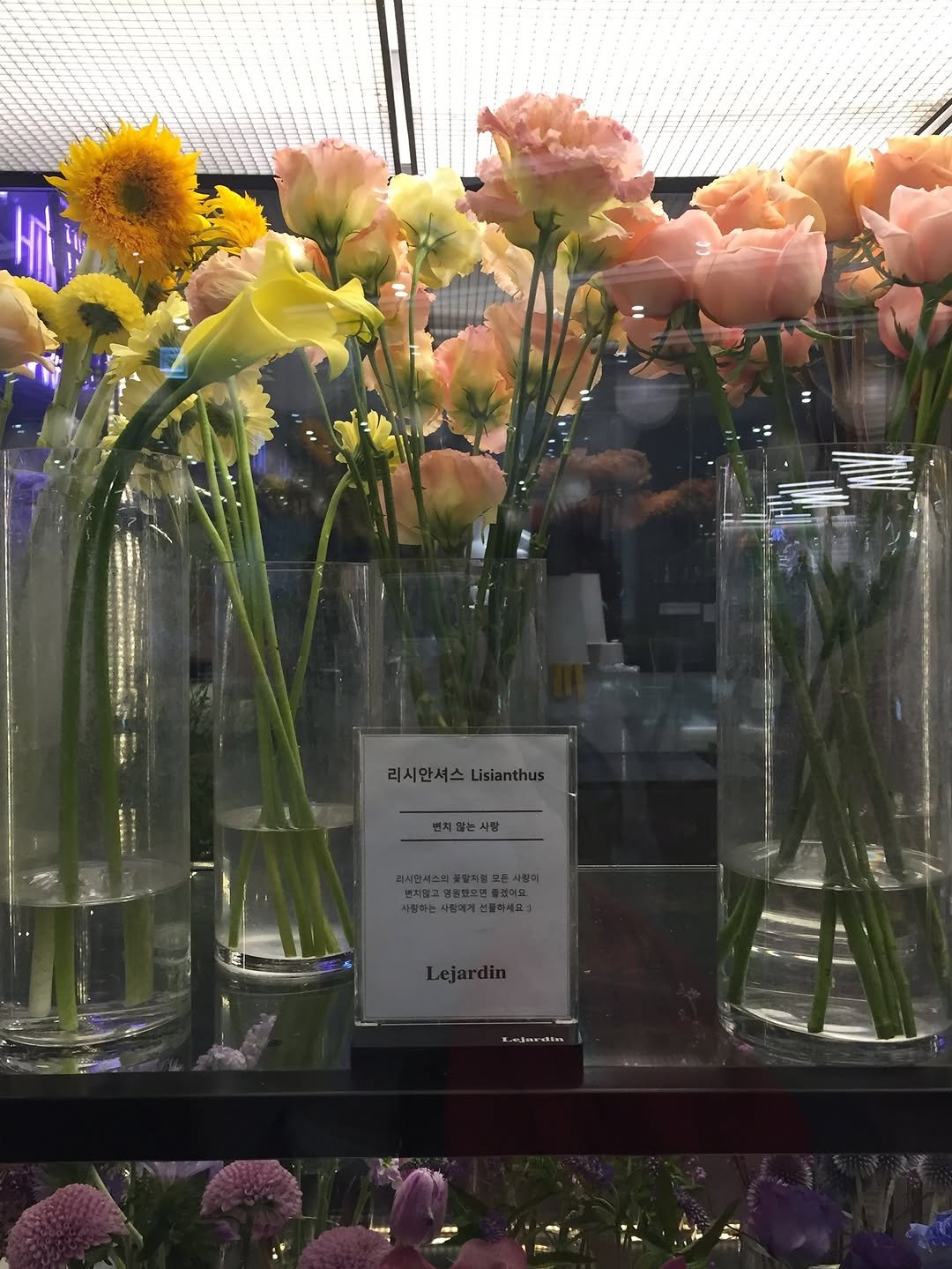 Photo by 유정 ユジョン on July 04, 2025.