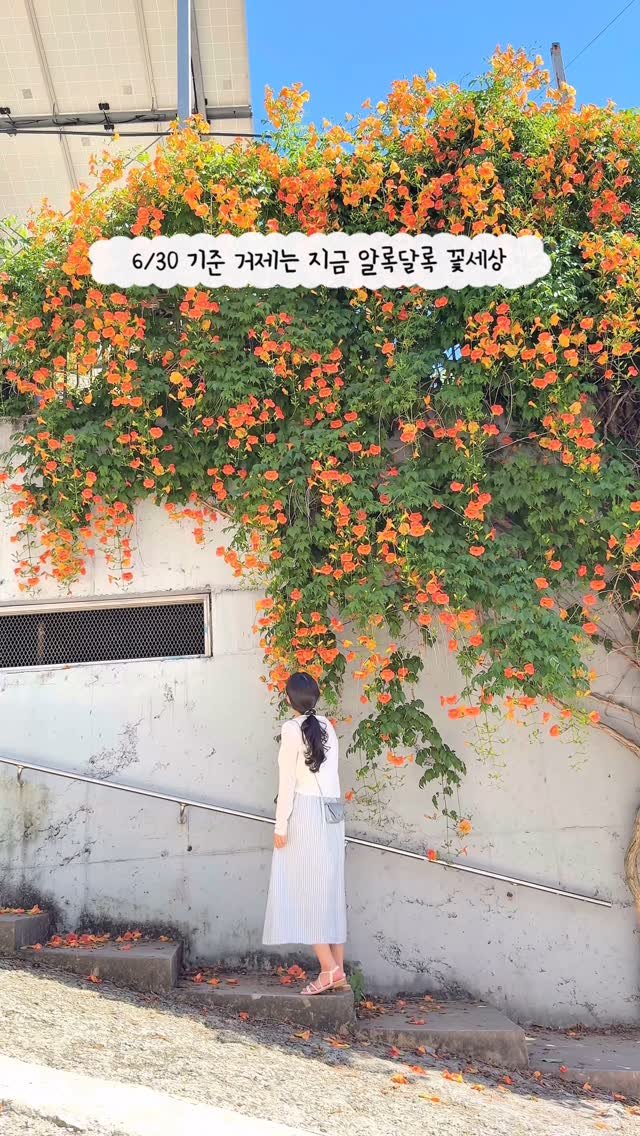 _yujaaa 게시물 이미지: 하루 하루가 행복한 요즘🥰

오빠가 수국 보러 가자고 해서 거제도에서 1박 2일...