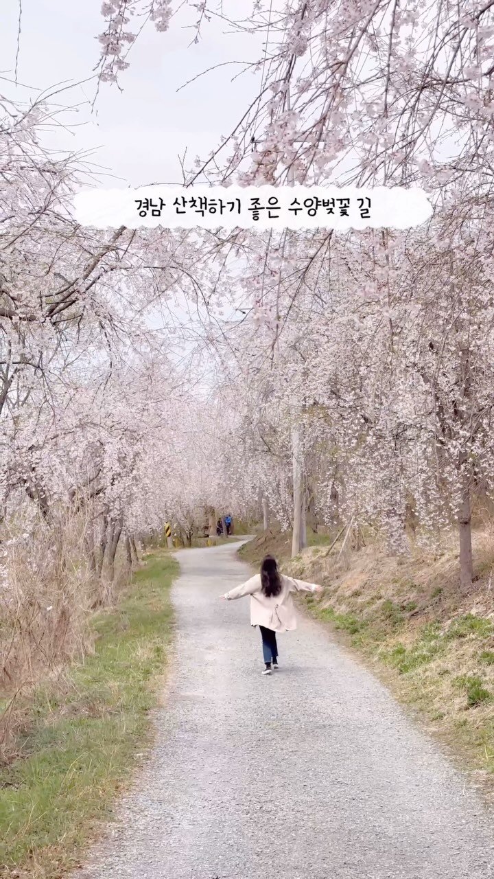 _yujaaa 게시물 이미지: 흐드러진 수양벚꽃 가득한 산책길💕

📸 2025. 03. 29

창원에 야구보러...