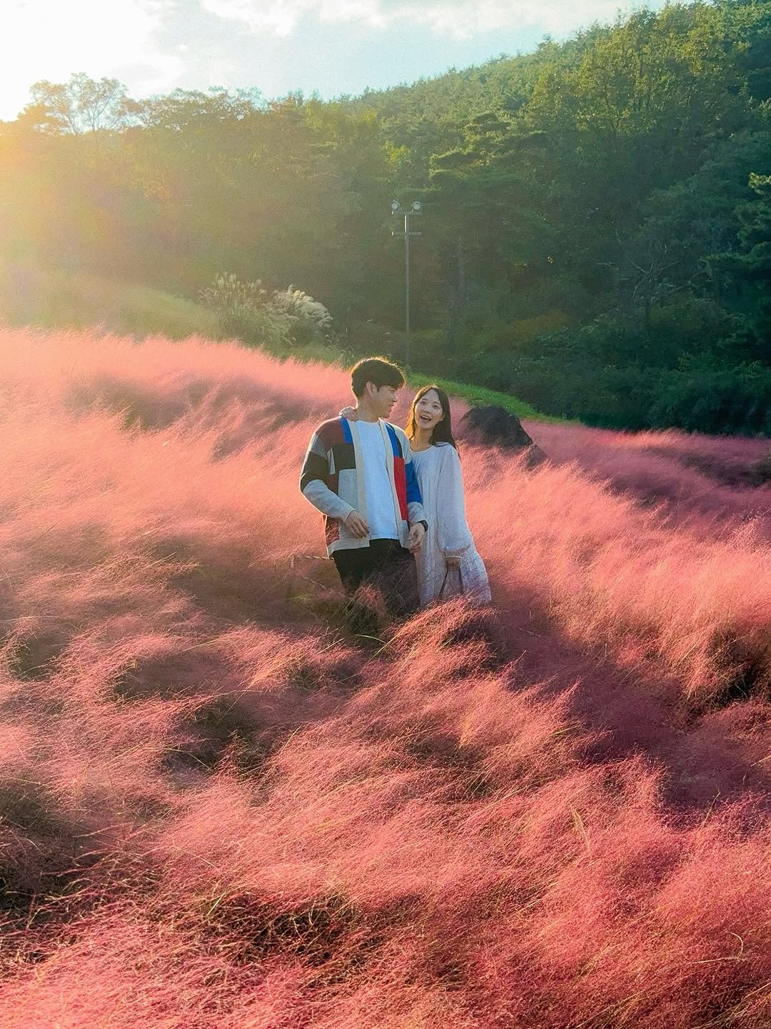 _yujaaa 게시물 이미지: 뭐가됐든 행복🥰

핑크뮬리를 보러 갔지만 3시간 동안 카페서 얘기하다가
해가 들어갈...