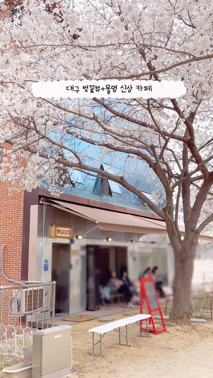 _yujaaa 게시물 이미지: 🌸동촌유원지 벚꽃 가득 신상카페 등장🌸

여기까지 오셔서 벚꽃만 보고 가면...