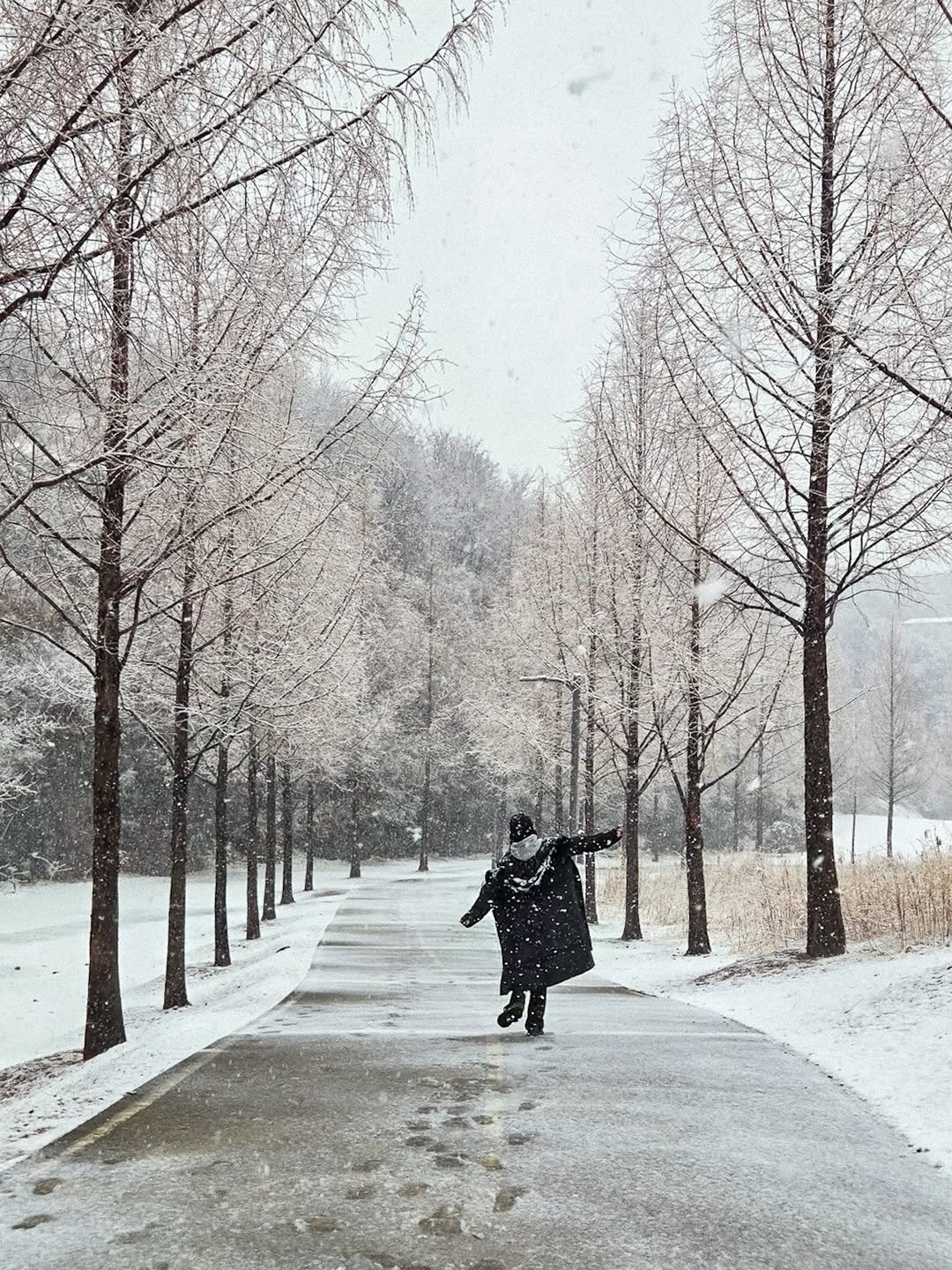 Photo by 유 진 🍊 on February 24, 2026. May be an image of road, park, snow and text.