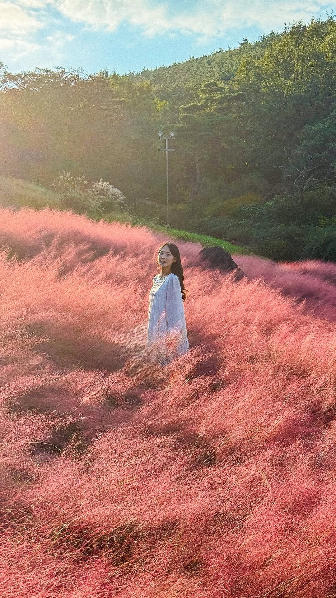 _yujaaa 게시물 이미지: 그래도 가을은 즐겨야지💕

무료개방이길래 맘편하게 가산수피아로😌
전에는 주차장...