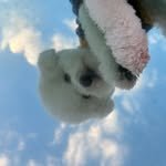 azzo_ssi 프로필 사진