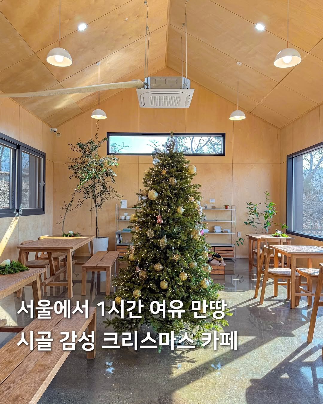 Photo shared by 여행, 아영🫧 | 서울근교 여행•공간 on December 22, 2025 tagging @so.gyeong.gye. May be an image of tree and text that says '서울에서 1시간 여유 만땅 시골 감성 크리스마스카페 카페'.
