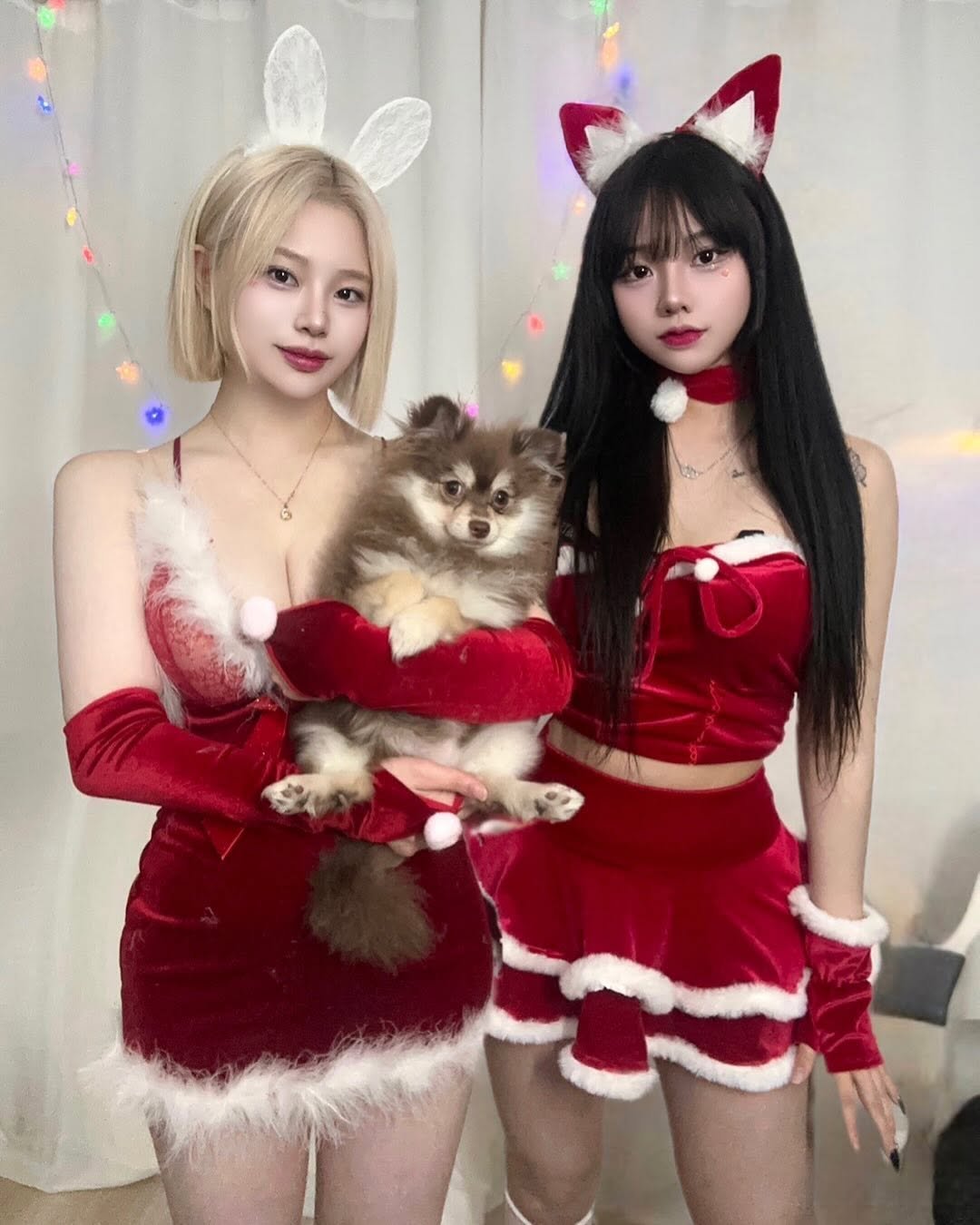 a._.roming 게시물 이미지: 뽀미랑 보삐랑 미리메리크리수마스❣️