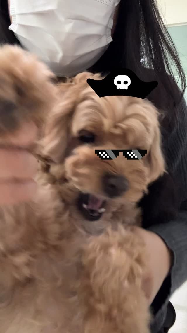 a.shining_moment 게시물 이미지: 몬트 릴스기차 탑승🚂

샤사장이 못하는 챌린지 
몬트로 대신하기 😋