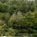 leeleeeji 프로필 사진