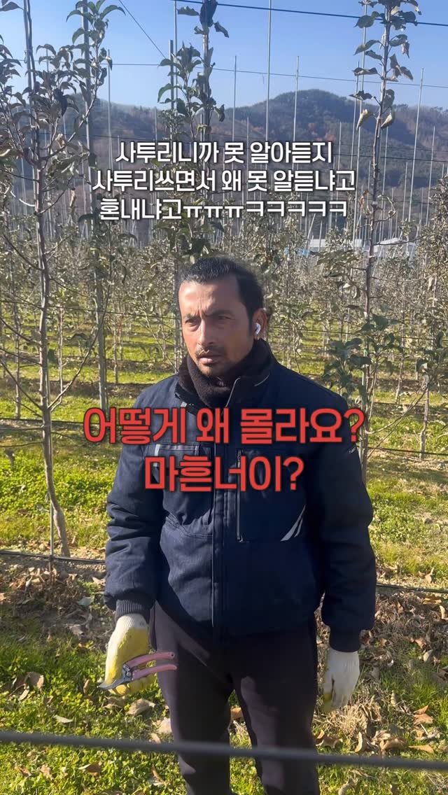 a_shy_apple 게시물 이미지: 서울 사람과 경상도사람이 만나면 생기는 일

서울에서 내려온 피티님들도 
오빠도...