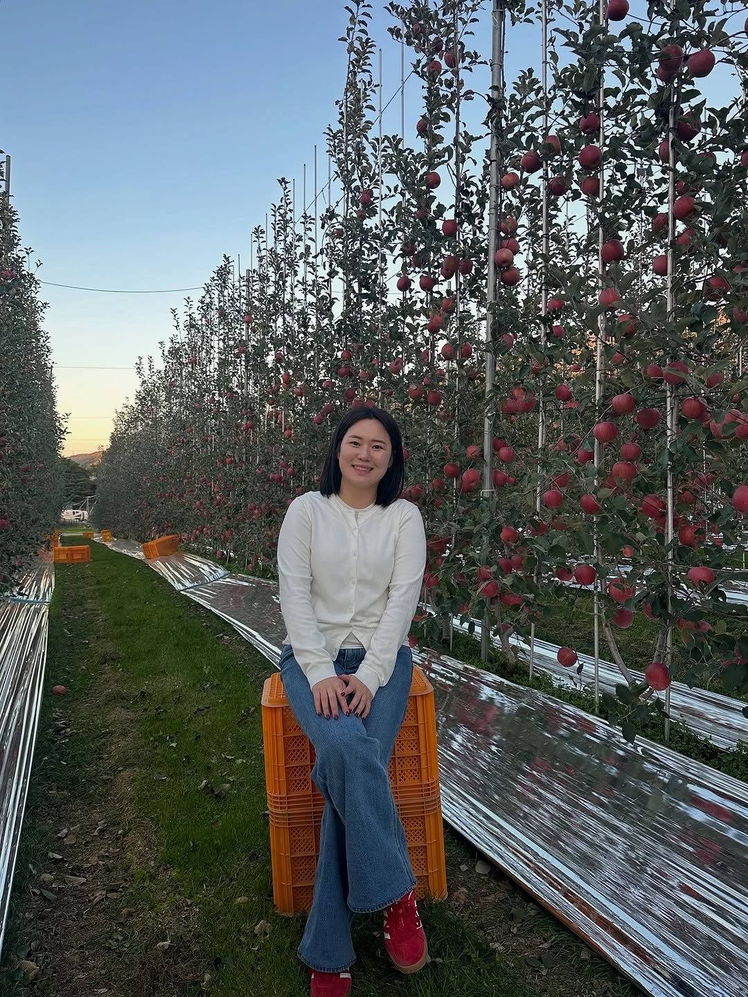 Photo by 수줍은사과 🍎 서명수 on November 10, 2025. May be an image of apple, carnation and text.