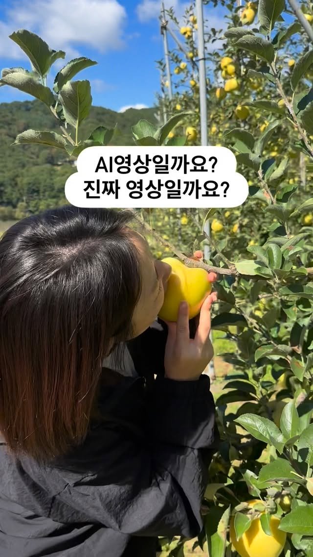 a_shy_apple 게시물 이미지: 이 영상의 비밀은??? 

계정 곧 뺏기겠다 싶어 뭐든 올려보는 
주인장.....
