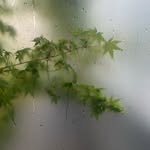 kimgukhan 프로필 사진