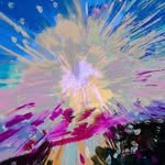 the.fishgirls 프로필 사진