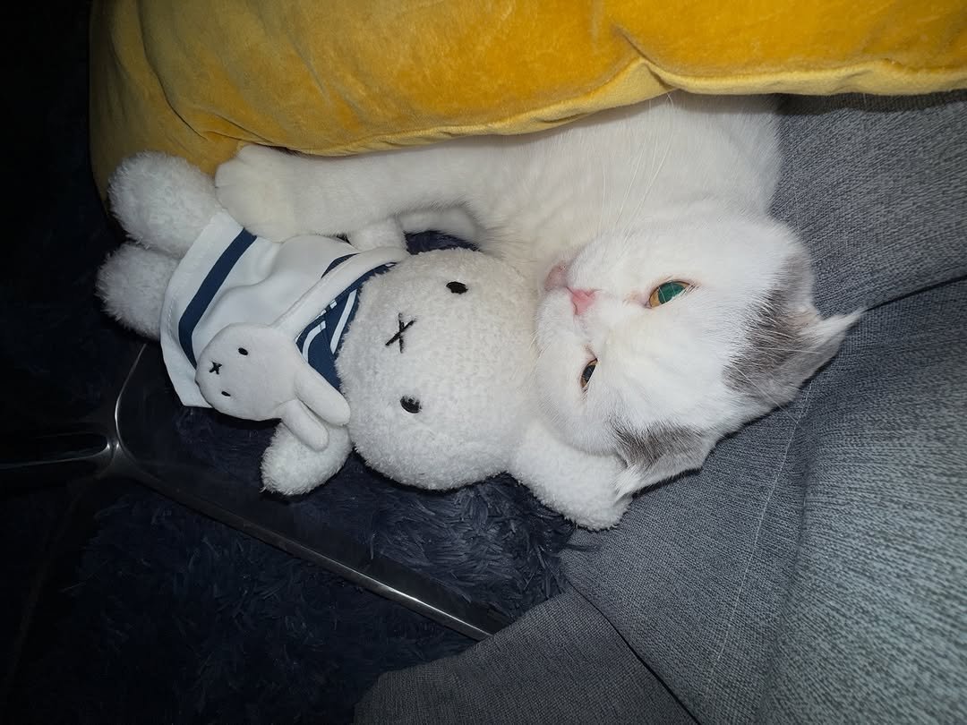 Photo by 안재현 on October 05, 2025.