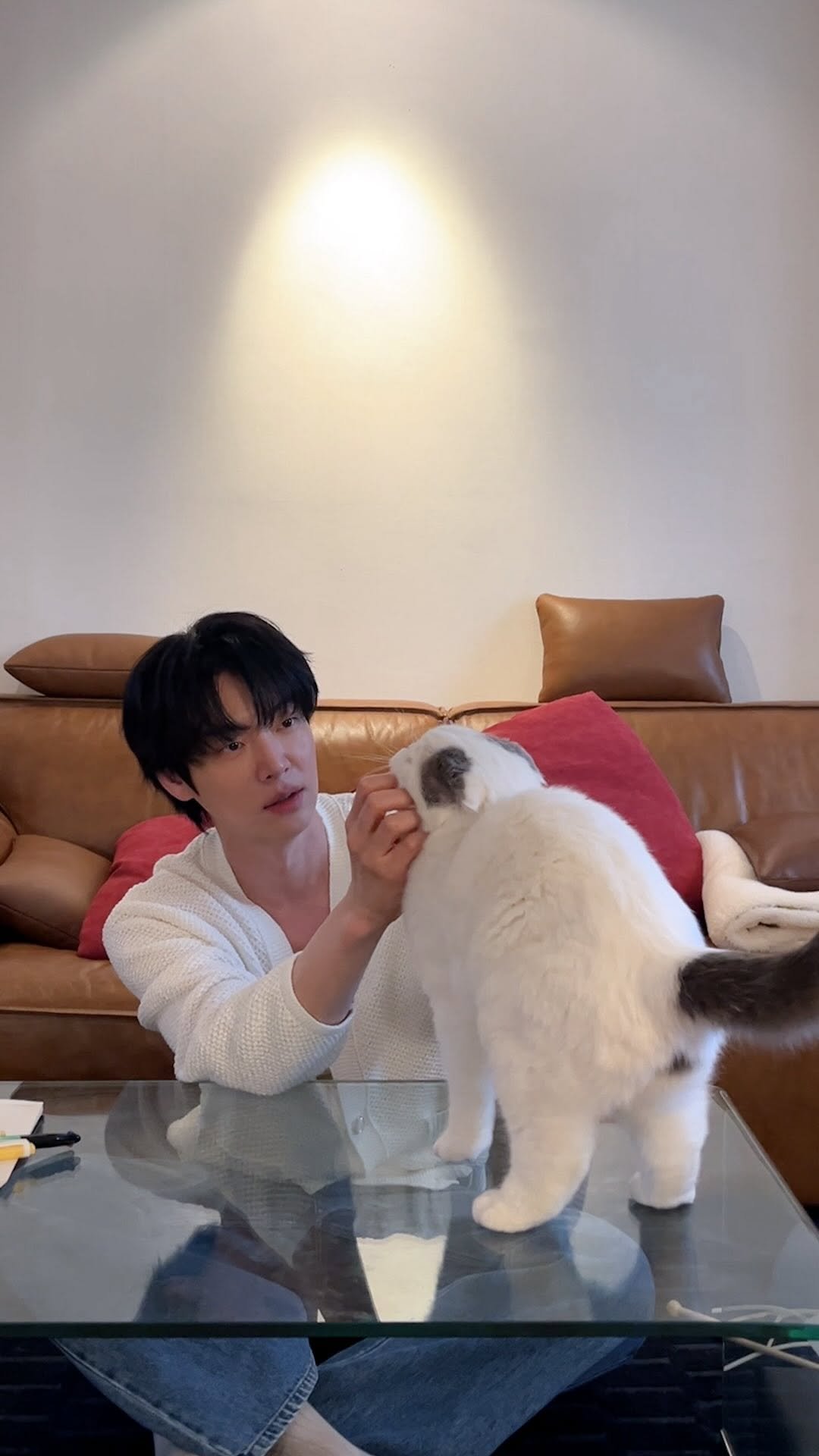 aagbanjh 게시물 이미지: 잠자는 모습이 제일 천사 같은 우리 안주

하지만 요즘 부쩍 늘어난 잠과 예전 같지...