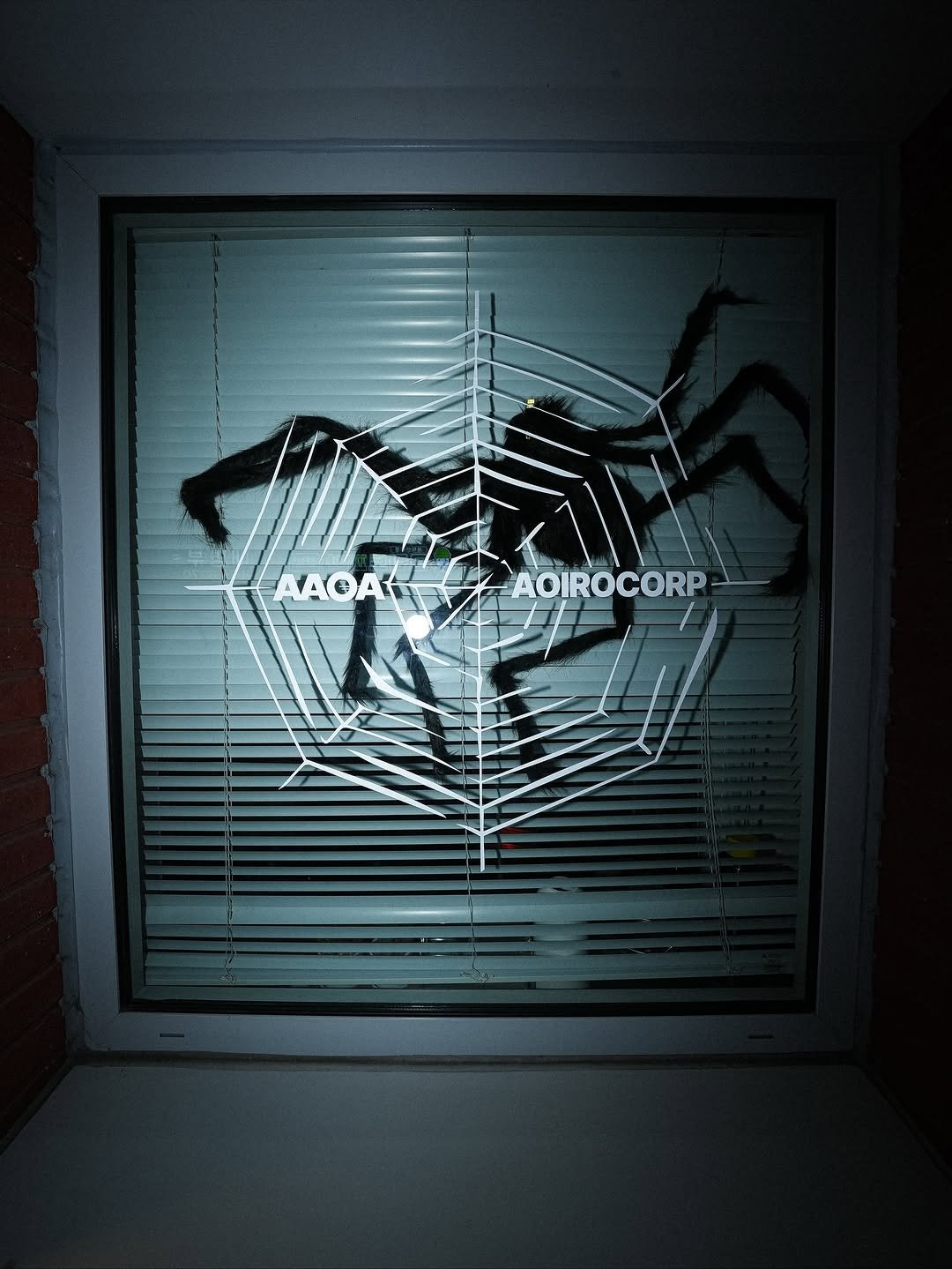 Photo shared by AAOA on October 31, 2025 tagging @aoiro.corp. May be an image of spider, xray, poster, door and text.