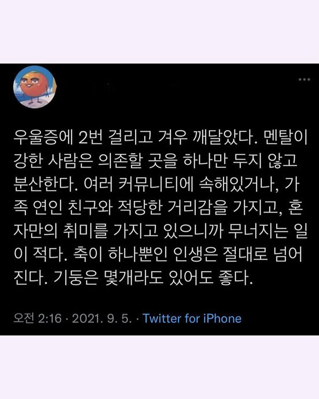 Photo by 몽실몽실 on August 08, 2025. May be a Twitter screenshot of text that says '우울증에 2번 걸리고 겨우 깨달았다. 멘탈이 강한 사람은 의존할 곳을 하나만 두지 않고 분산한다. 여러 커뮤니티에 속해있거나, 가 족 연인 친구와 적당한 거리감을 가지고, 혼 자만의 취미를 가지고 있으니까 무너지는 일 이 적다. 축이 하나뿐인 인생은 절대로 넘어 진다. 기둥은 몇개라도 있어도 좋다. 오전 2:16 2021. Twitter for iPhone'.
