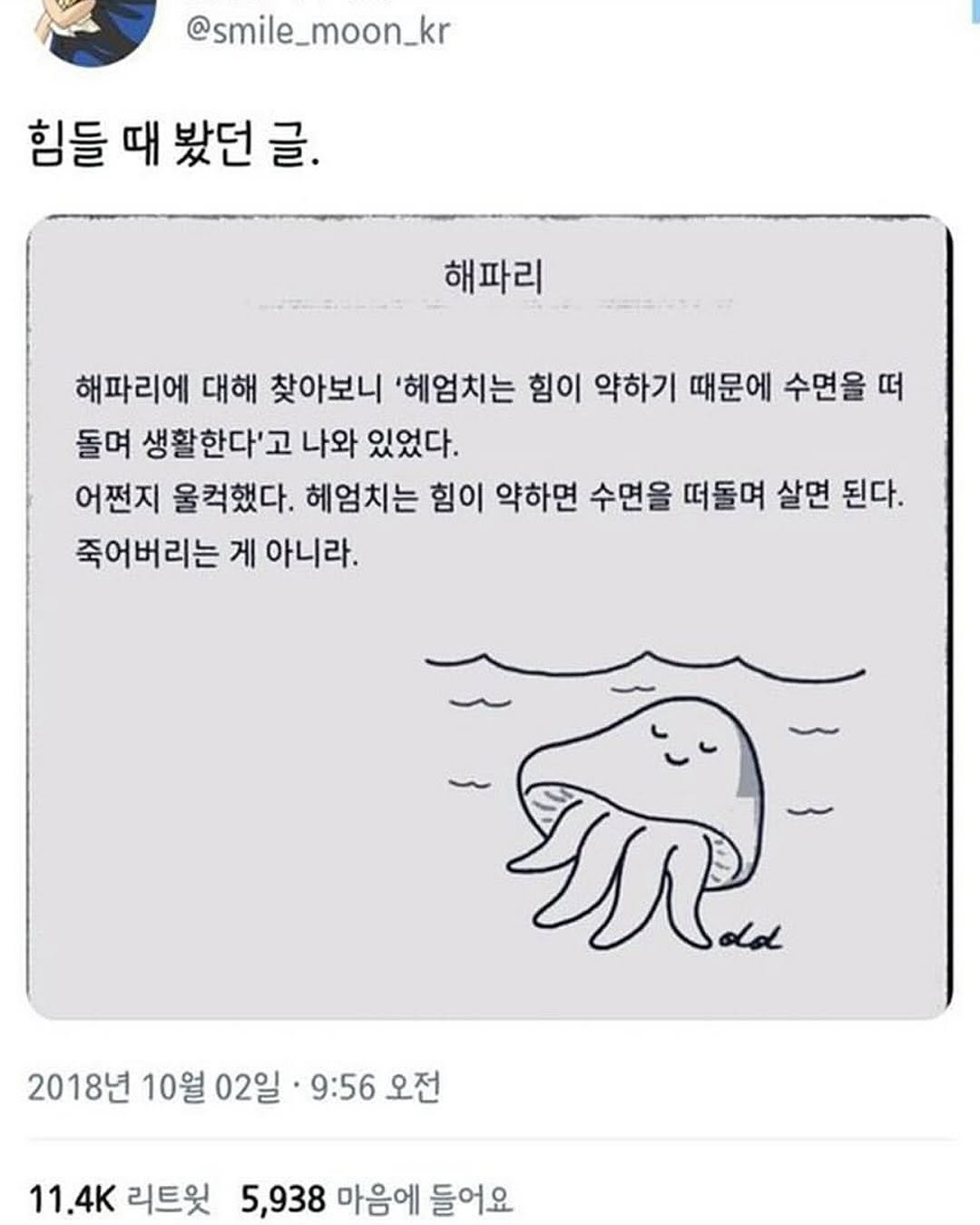 Photo by 몽실몽실 on August 10, 2025. May be a cartoon of text that says '@smile_moon_kr 힘들 때 봤던 글. 해파리 해파리에 대해 찾아보니 '헤엄치는 힘이 약하기 때문에 수면을 떠 돌며 생활한다'고 나와 있었다. 어쩐지 울컥했다. 헤엄치는 힘이 약하면 수면을 떠돌며 살면 된다. 죽어버리는 게 아니라. 2018년 10월 02일 9:56 9:56오전 오전 11.4K 리트윗 5,938 마음에 들어요'.