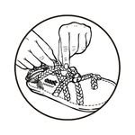 dangsrapkorea 프로필 사진