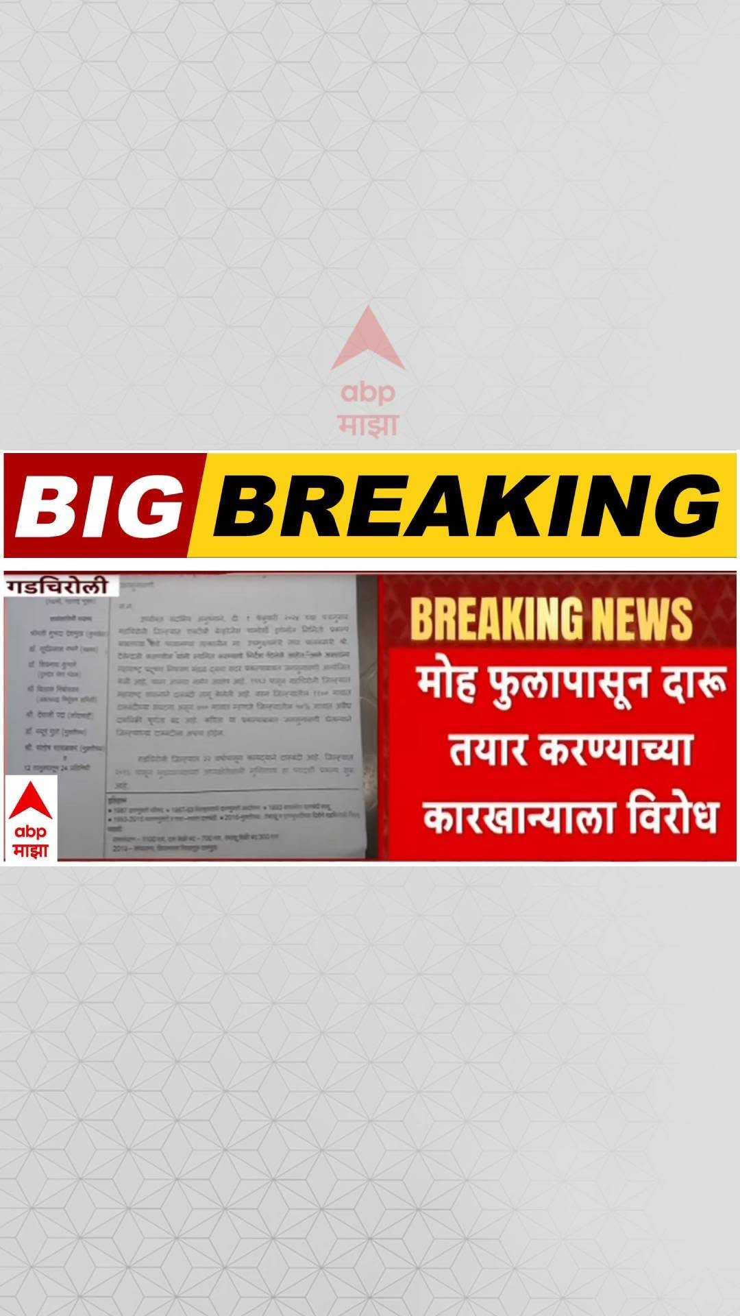 abpmajhatv 게시물 이미지: Gadchiroli News : गडचिरोलीत मोह फुलापासून दारु...