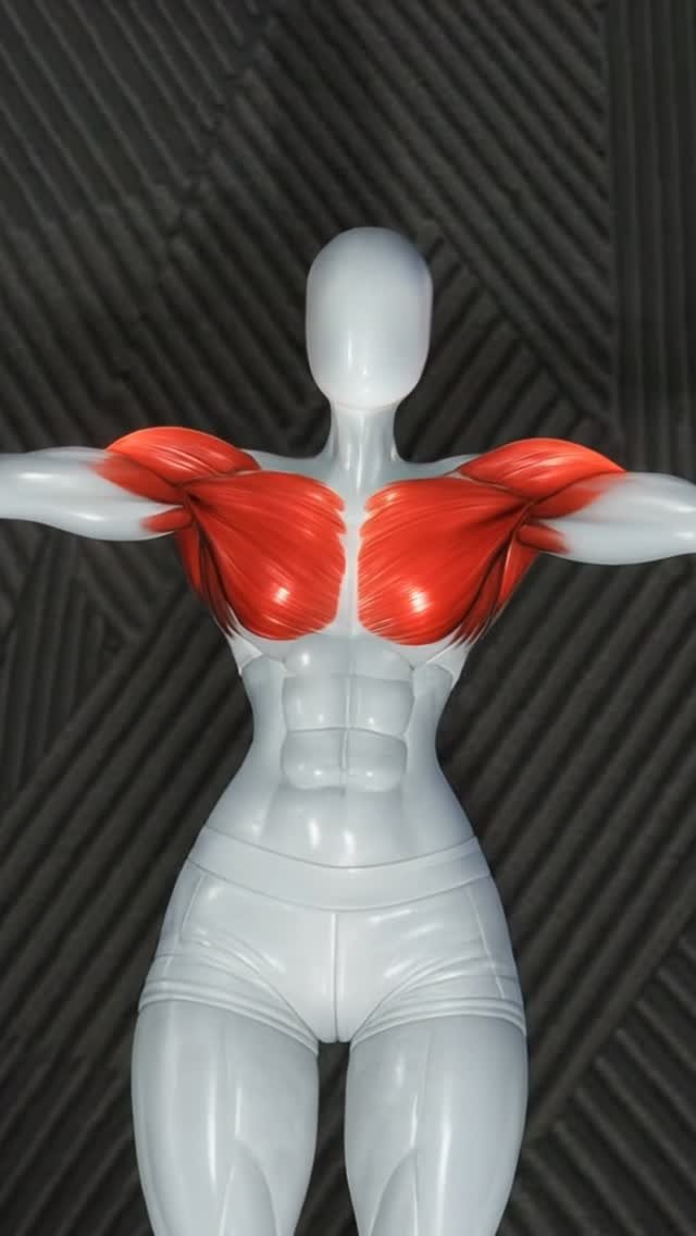 abs_at_home 게시물 이미지: Define Your Chest at Home

👉 Download...