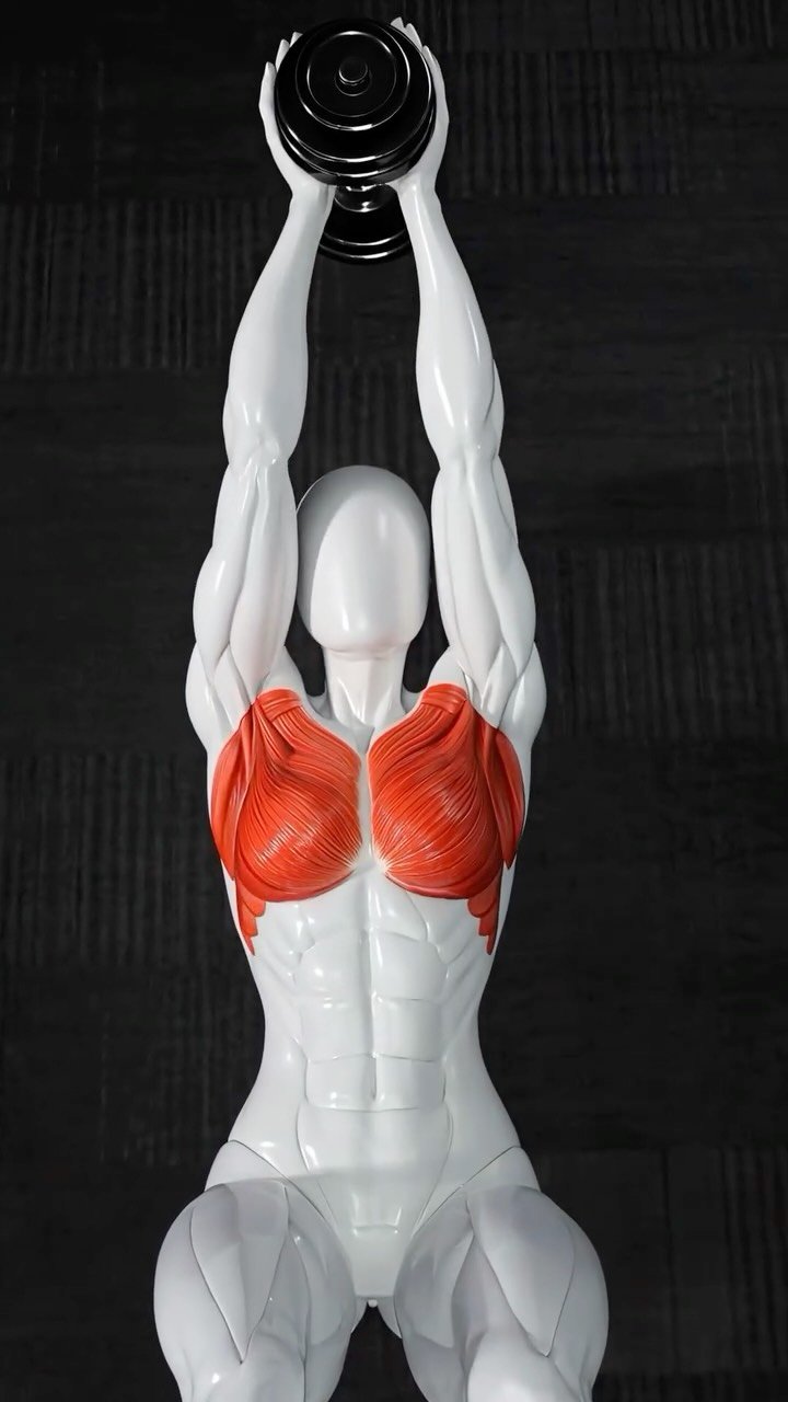 abs_at_home 게시물 이미지: Shape Your Chest Without the Gym

Build and...