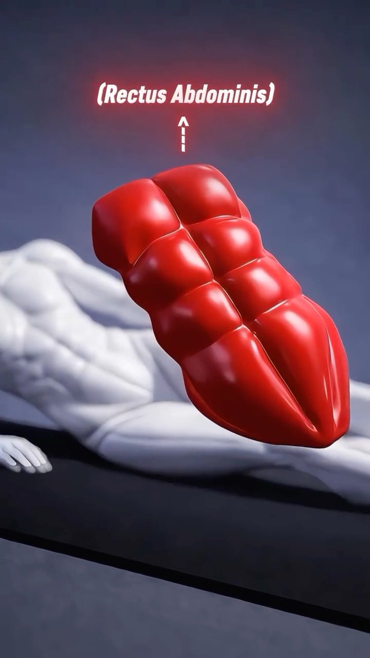 abs_at_home 게시물 이미지: Lazy Ab Workout 

Simple moves. Real core...