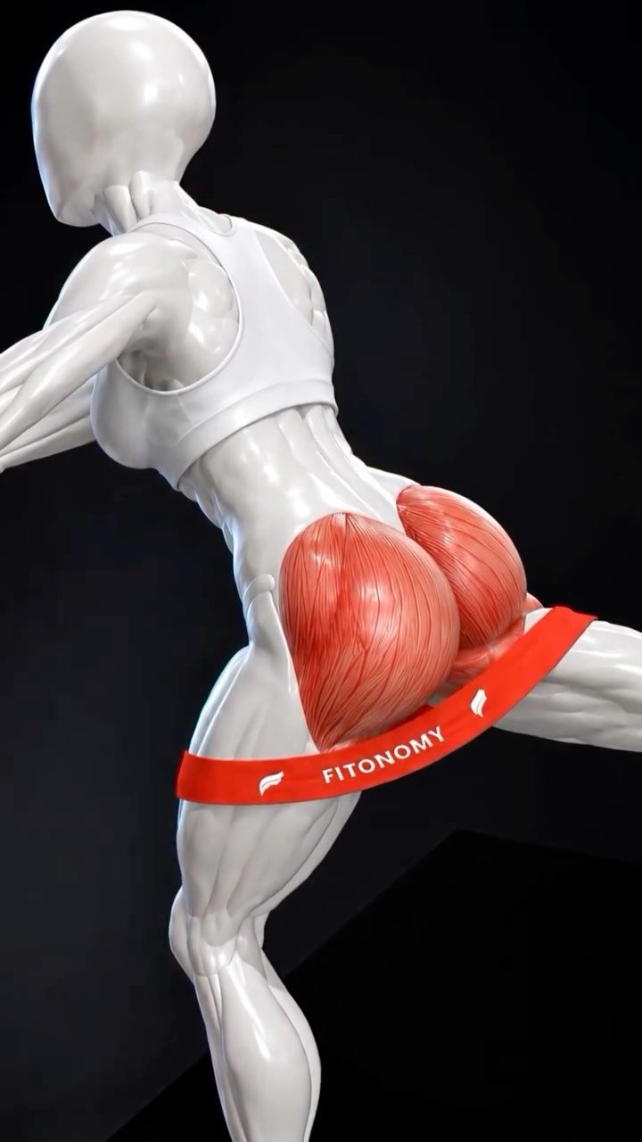 abs_at_home 게시물 이미지: Glutes not growing?

If your glutes aren’t...