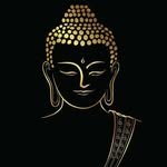 buddhakevichar 프로필 사진