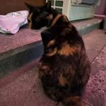 leo_x2y 프로필 사진