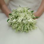 leblanc_bouquetflower 프로필 사진