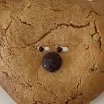 the_butterhaus 프로필 사진