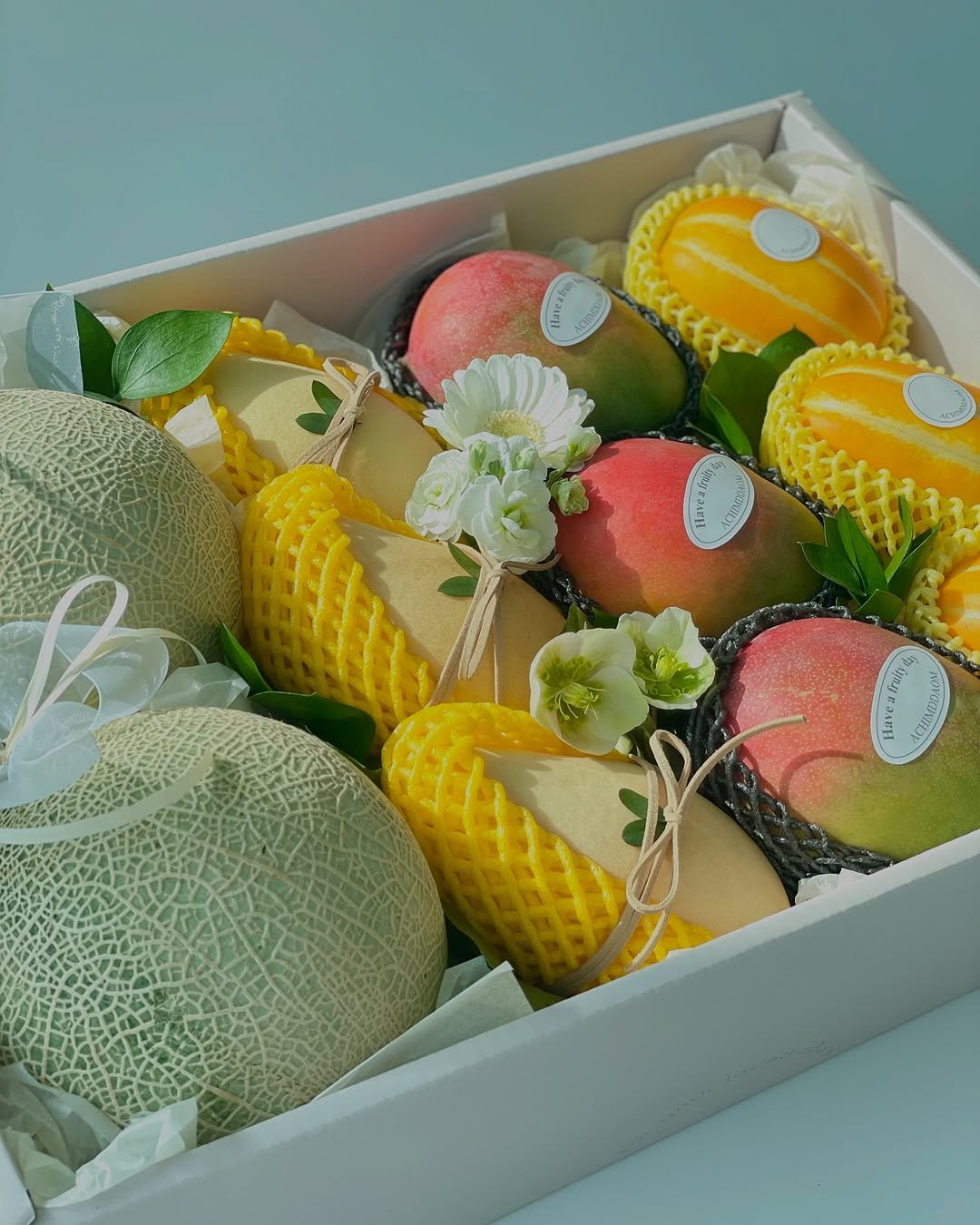 Photo by 아침따옴 | 송도과일바구니 인천과일바구니 과일도시락 예단과일 이바지과일 기업선물 서포트선물 on February 15, 2025.
