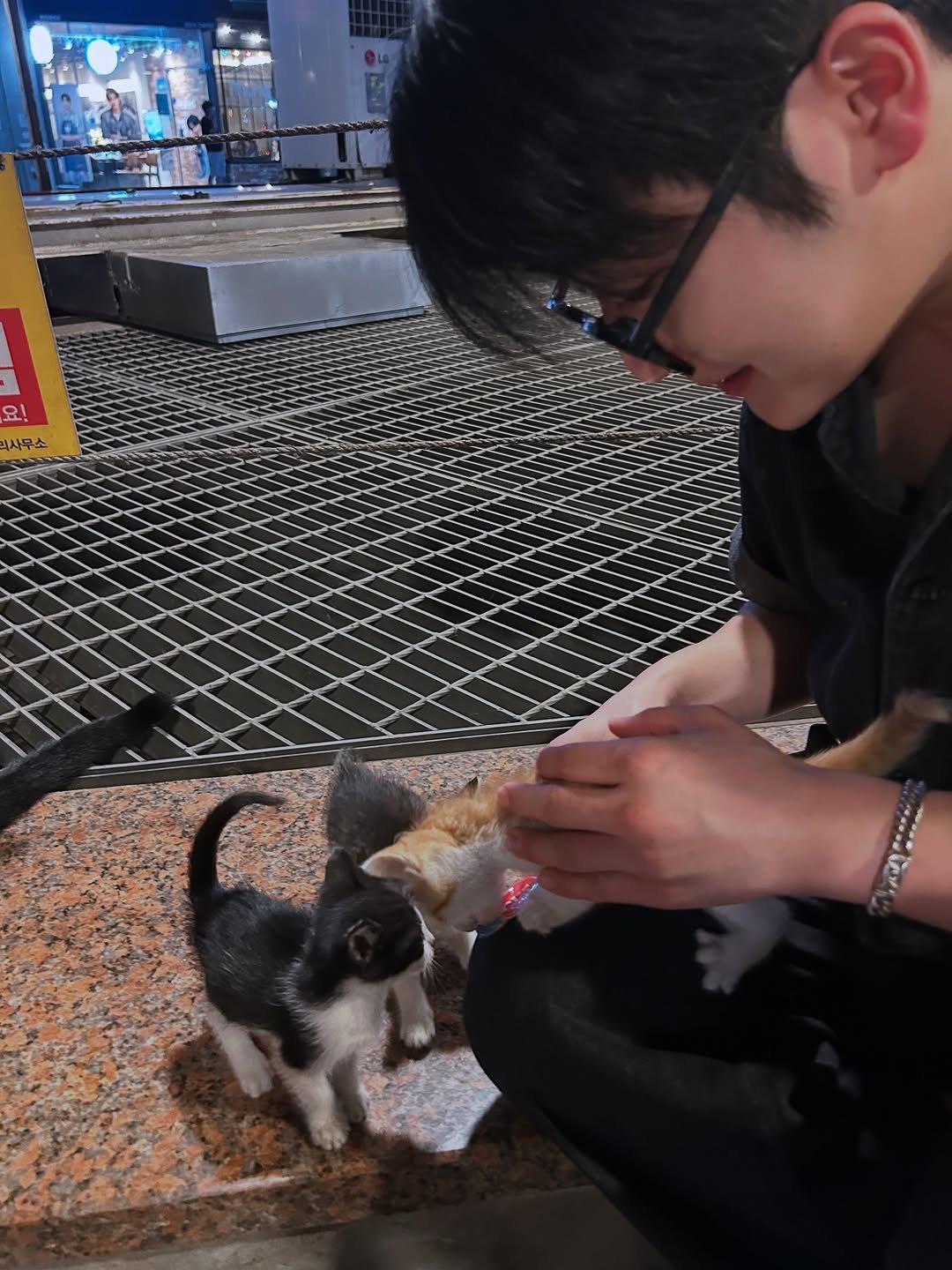 Photo by 진형쌤 on October 31, 2025. May be an image of kitten and text.