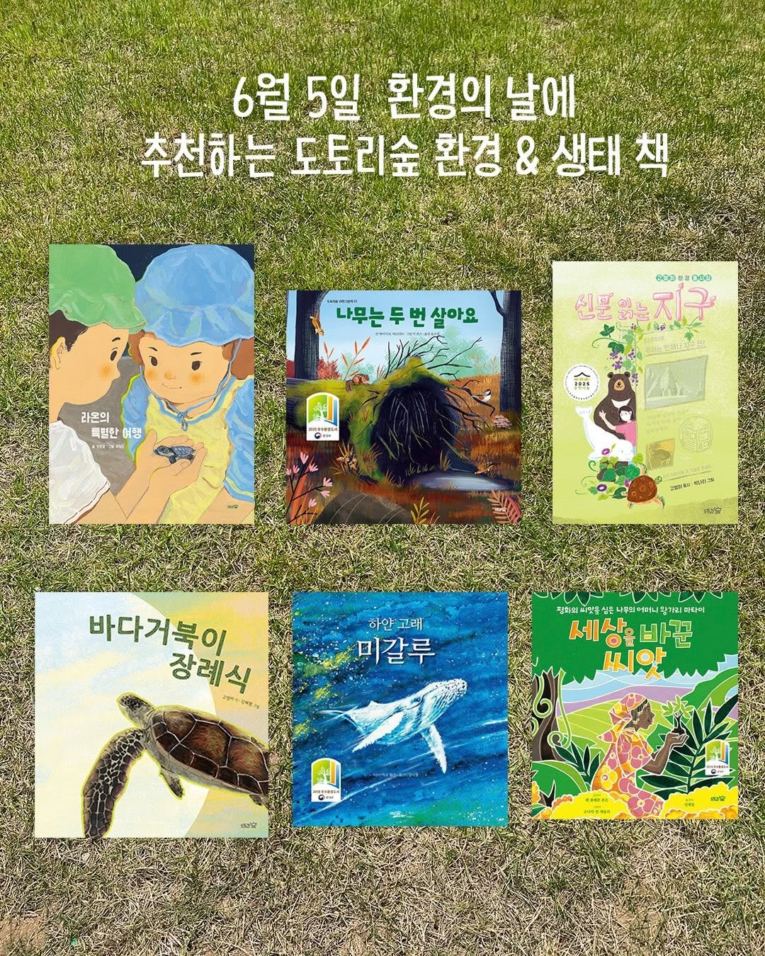 acorn_forest_book 게시물 이미지: 🌳‘6월 5일‘은 ’세계 환경의 날‘이에요.

1972년 6월 5일. 스웨덴의 수도...