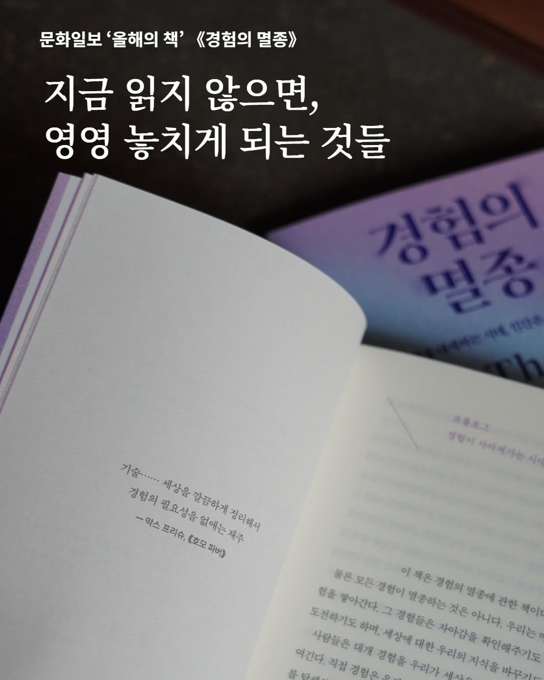 Photo by 어크로스 on December 23, 2025. May be an image of book and text that says '문화일보 '올해의 책' 《<경험의 멸종》 지금 읽지 않으면, 영영 놓치게 되는 것들 강현의 제문로로 살험이 칼원이아아에가는 사아여가는 기술..... 경험의 세상을 필요성을 깜끔하게 -막스 프리슈, 없얘는재 경험의요성을없예는제주 ช่อนทระยียา 재주 정리해서 (호모 파버) 물든모든 이책 행을 물은 모든 경험이 이책은경험의 책은 경협의 멸종에 관한 책이 도전하기도 하며, 세상에 대한 우리의 지식을 화인해주기도 밤아간다 그 경험들은 멸종하는 것은 사람들은 자아감을 아니다. 우리는 여긴다. 직접 경험은 대개 경험을 우리가'.