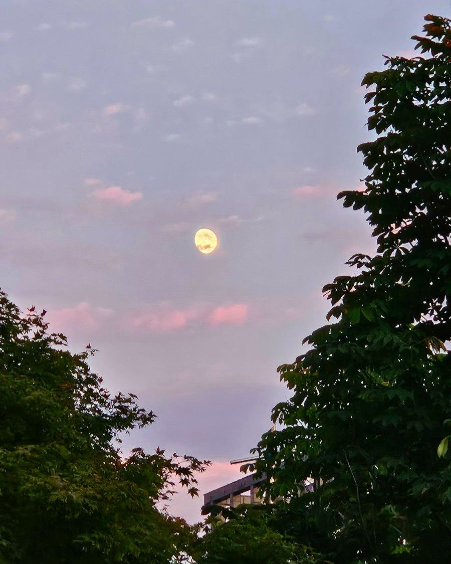 Photo by 어크로스 on September 19, 2025. May be an image of twilight, sky and text.