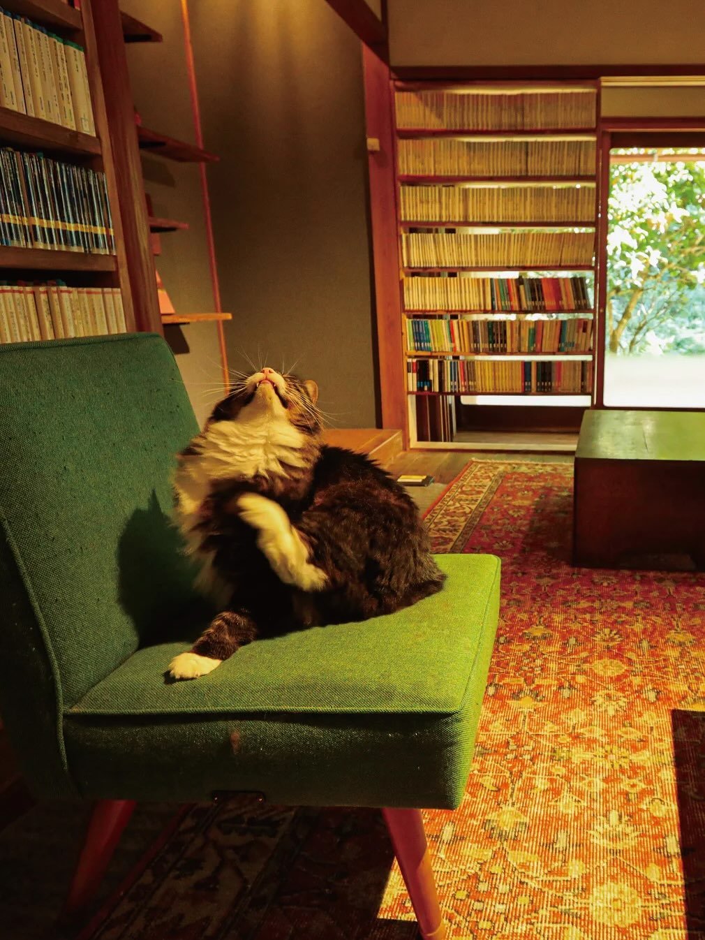 Photo by 어크로스 on August 08, 2025. May be an image of book, footstool, chaise lounge and text.